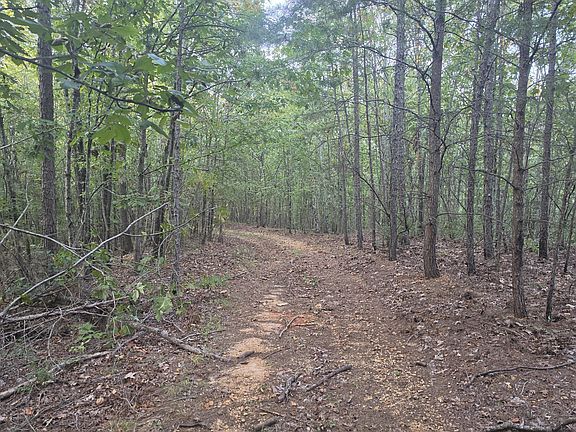 4th image of County Road 254
