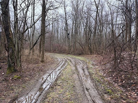 3rd image of Bliss Rd