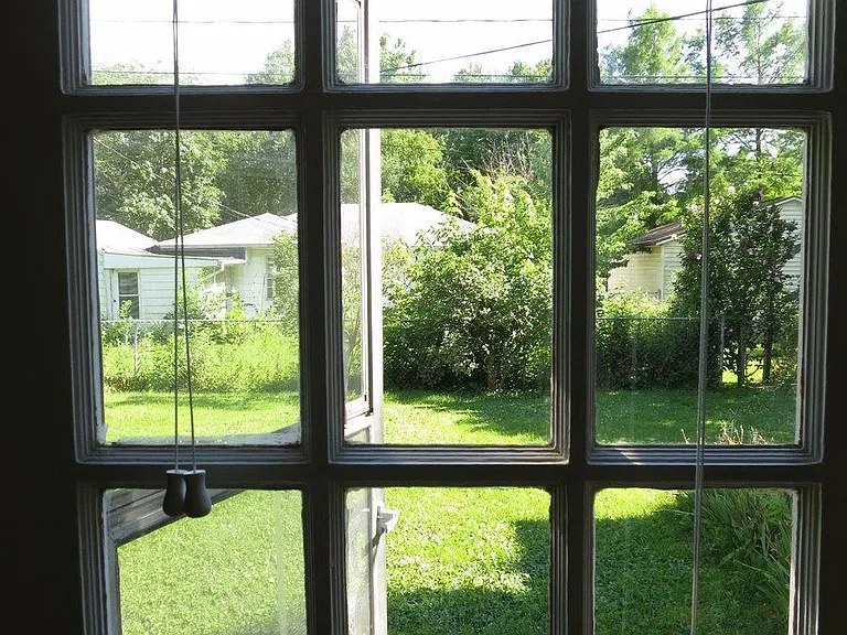 View from back door window.
