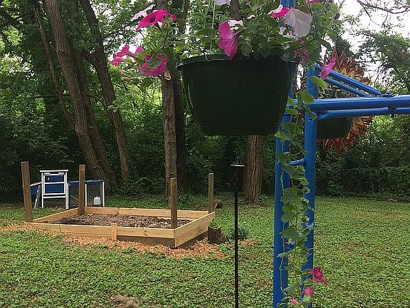Fenced back yard