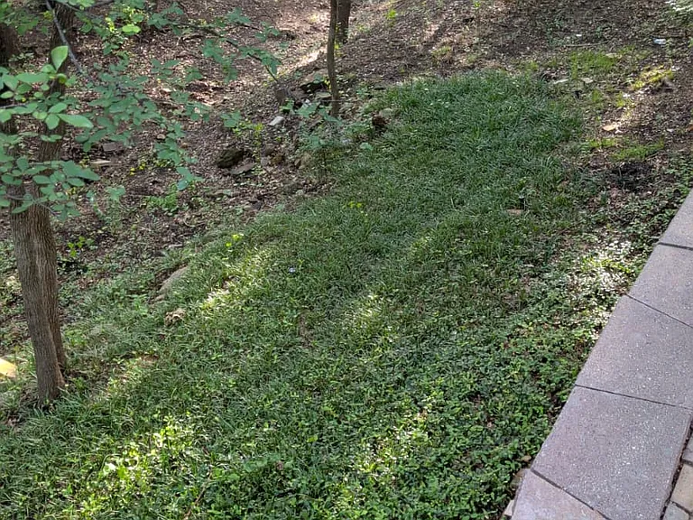100 N Edgewater Dr — Photo 33