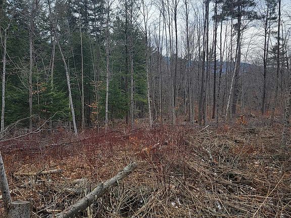 3rd image of 80 Crossover Road