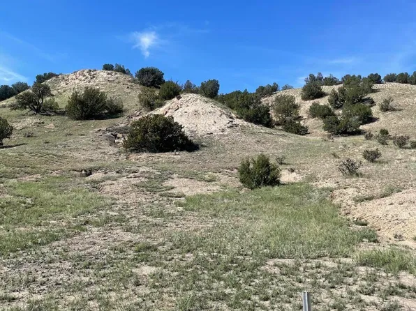Bear Springs Trl, Model, CO 81059