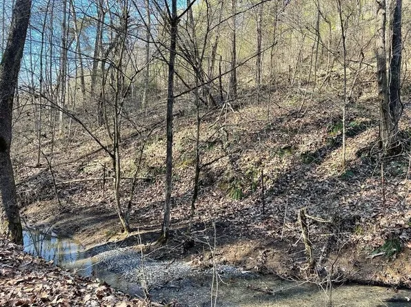 0 Highway 160 Lot 9201&3, Newport, TN 37821