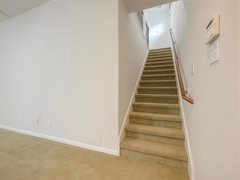 3 Tidwillow Pl — Photo 24