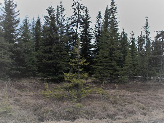 2nd image of 35196 Old Sterling Hwy