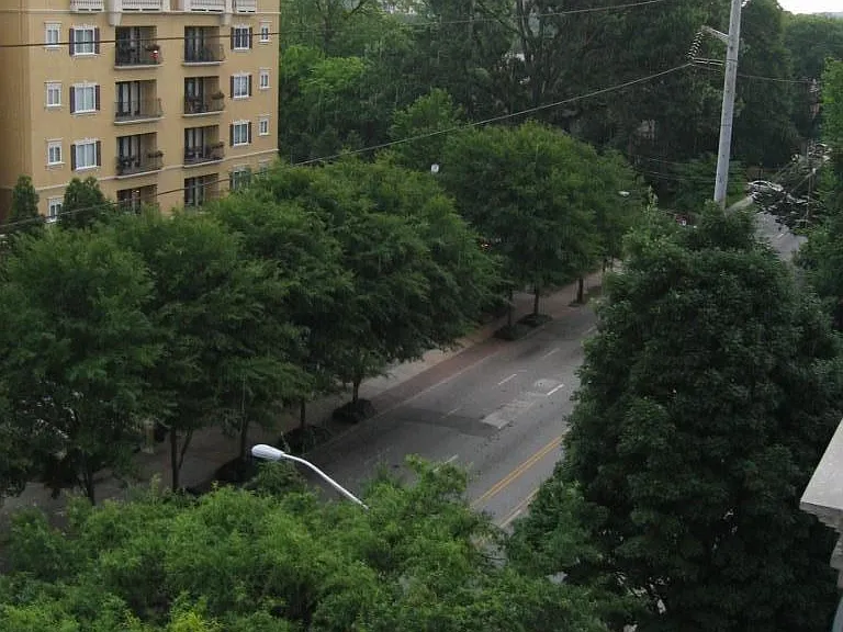 View out from Apt