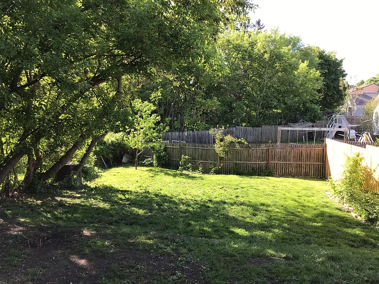 Shared back yard