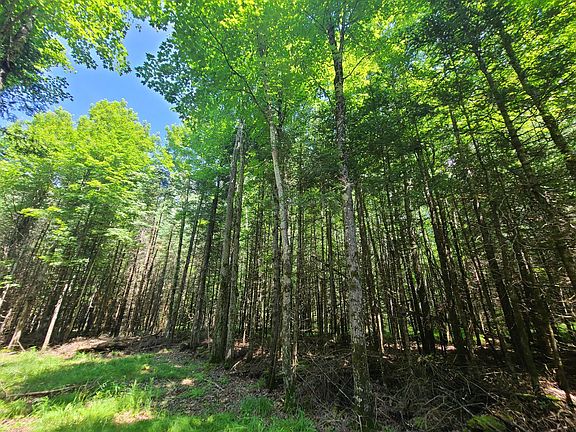 2nd image of N11346 Rocky Carrie Rd