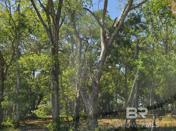 0 County Road 54, Robertsdale, AL 36567