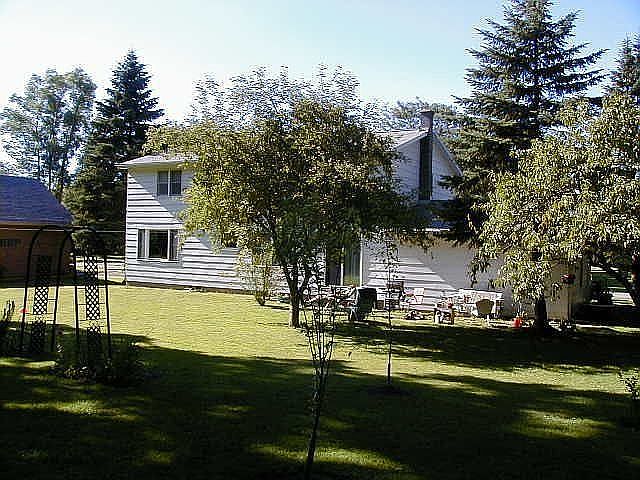 back yard