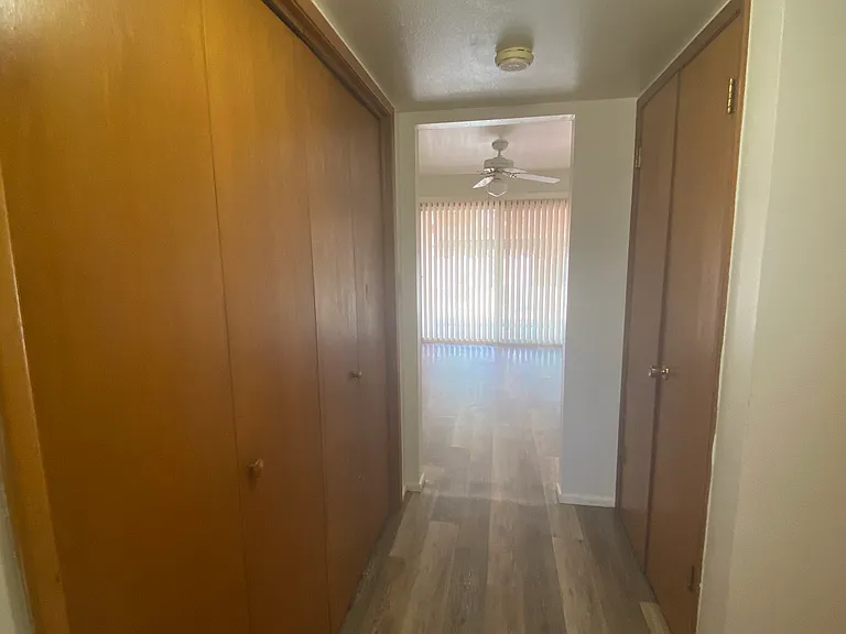 Two closets in the bedroom