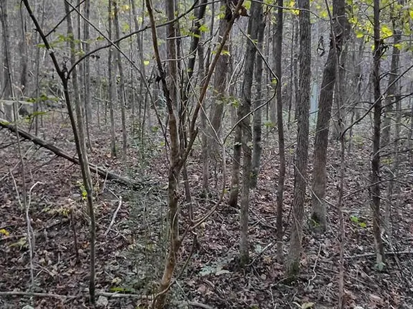 12 Deerwood Run, Big Sandy, TN 38221