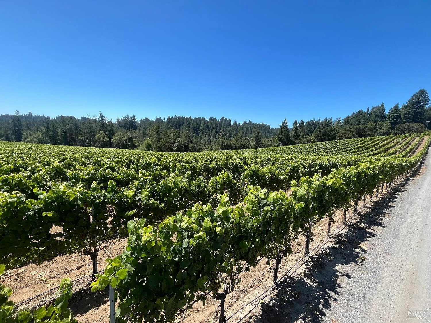 11480 Graton Road - Photo 4