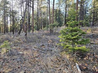 73 Snow Way Dr, Bayfield, CO 81122