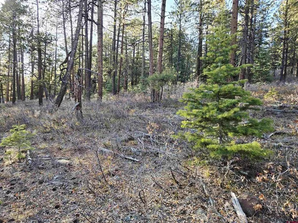 73 Snow Way Drive, Bayfield, CO 81122