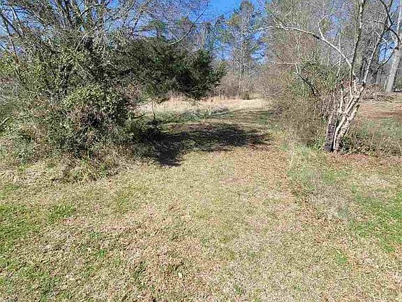2nd image of 0 County Road 49 Lot 0