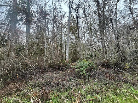 4th image of 1946 Co Rd 305
