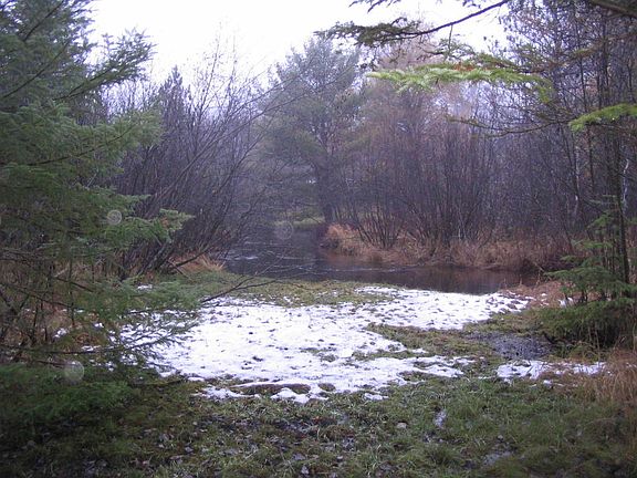4th image of 3814 Wintergreen Ln