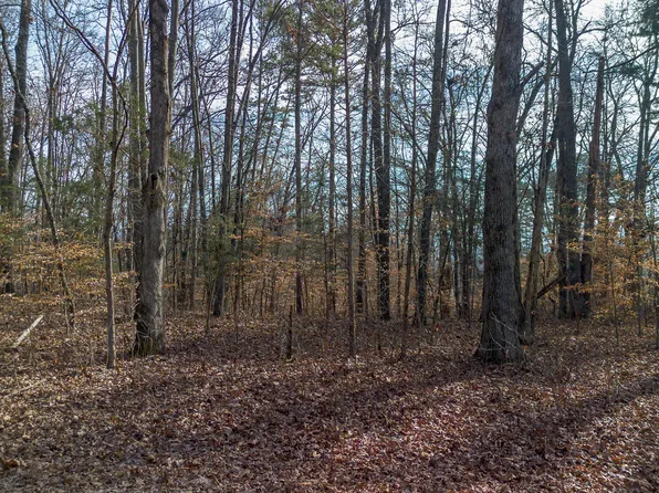 TRACT 5 Armstrong Dr, Dandridge, TN 37725