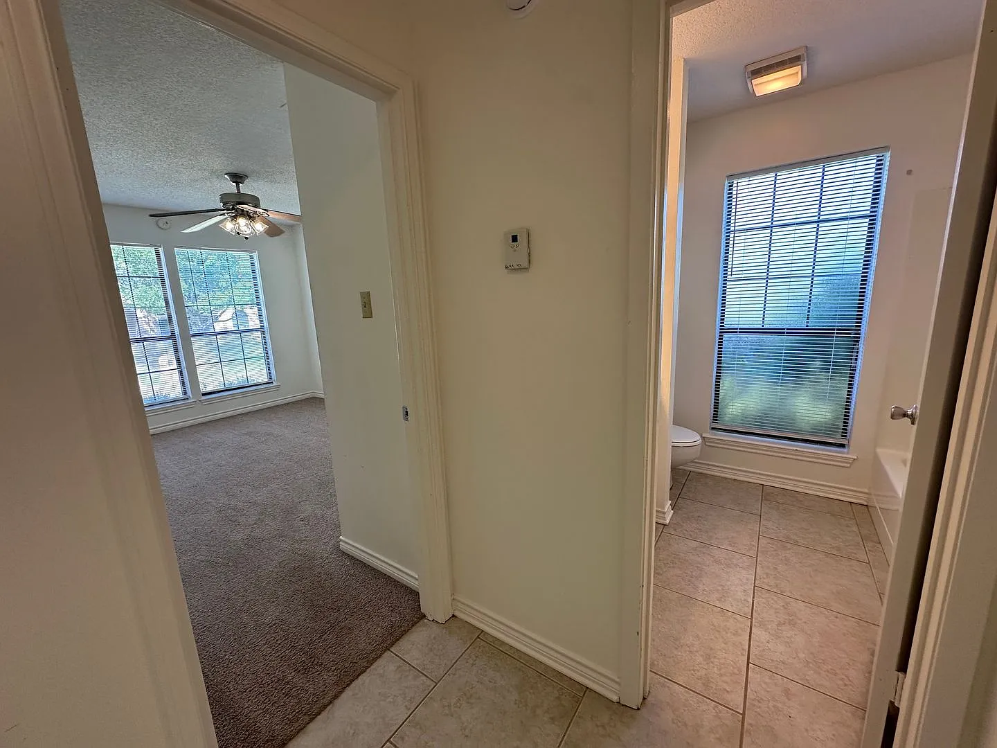 5885 Creek Side Circle — Photo 4