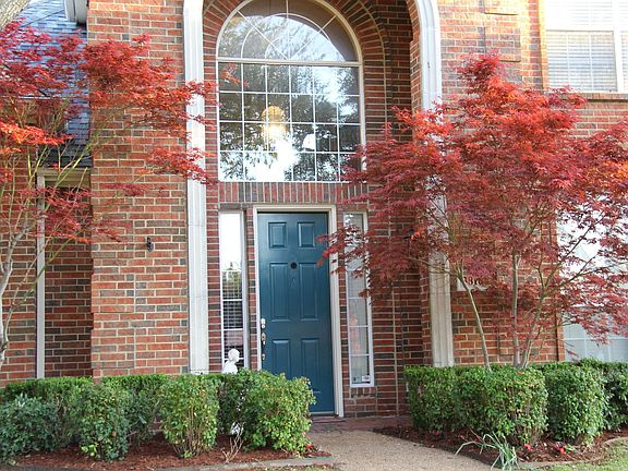 Beautiful Japanese Maples wecome you to the home