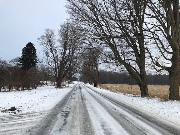 5th image of 33760 County Road 215