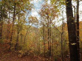 1074 Beach Front Dr #1074, Sevierville, TN 37876