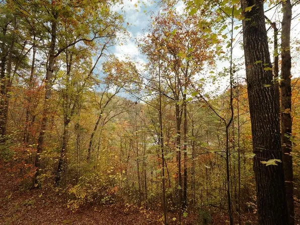 1074 Beach Front Dr #1074, Sevierville, TN 37876