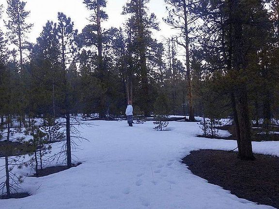 4th image of 246 Fir Dr