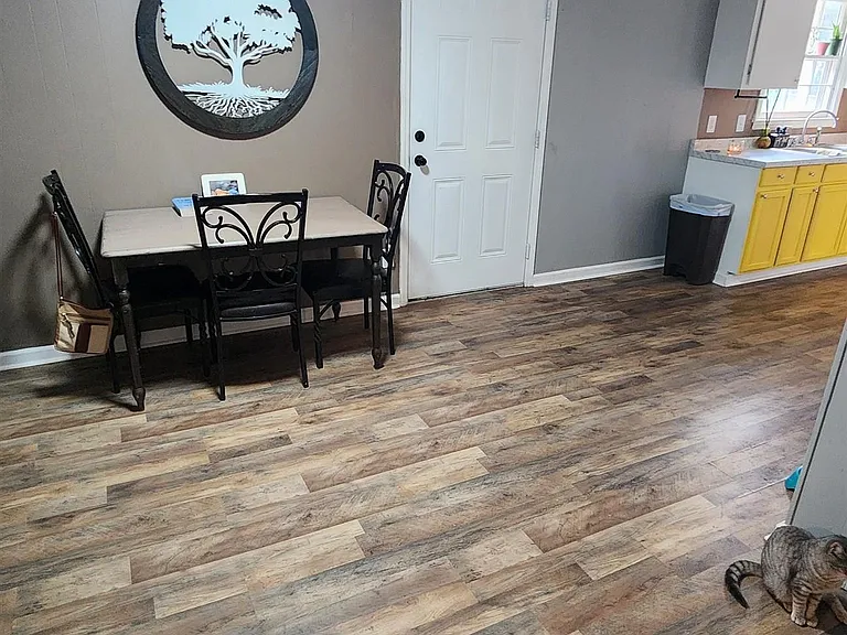 313 Vienna St — Photo 17