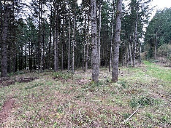 3rd image of Deer Ct