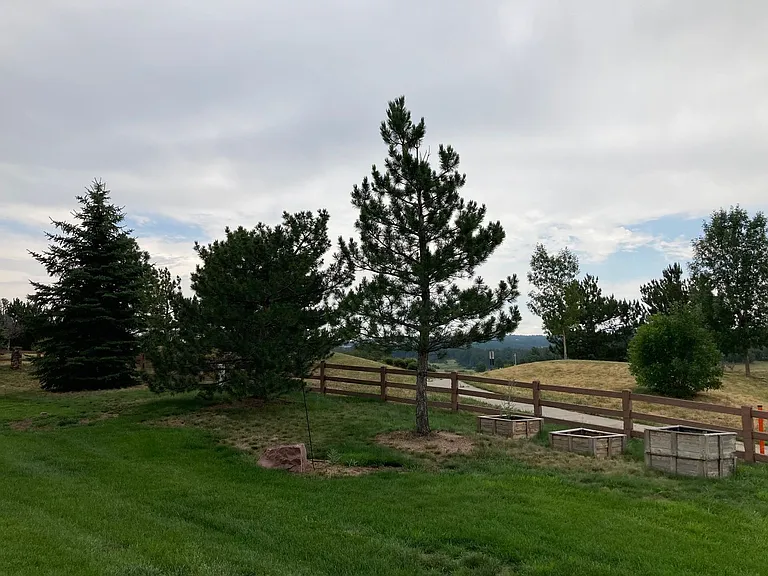 2721 Crooked Vine Ct — Photo 22