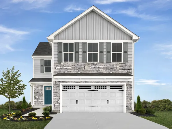 Lily Plan, Aspen Meadows