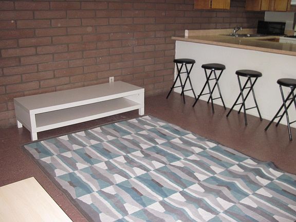 Nice area rug in living room