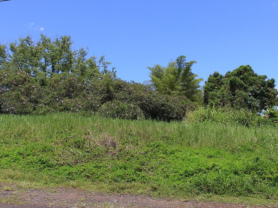 1st image of LOT 88 66