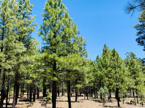 2185 Pine Canyon Dr, Happy Jack, AZ 86024