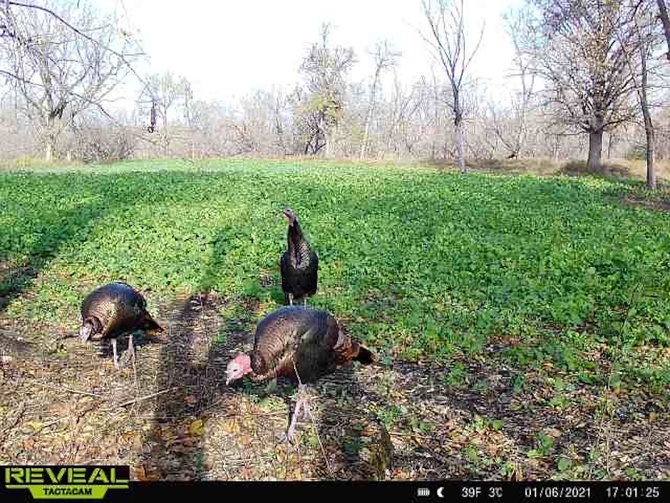 1st image of 51 160 1/2 Ave NE Lot Wp001