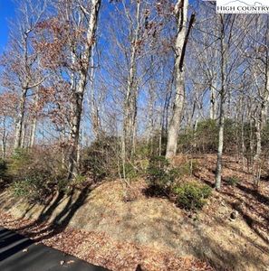 TBD Laurel Mountain Estates Drive, Todd, NC, 28684