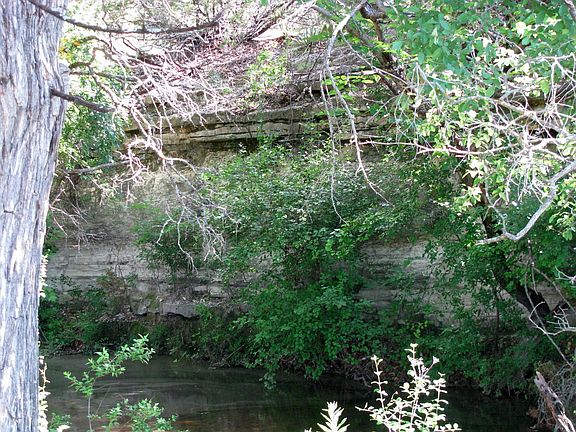 5th image of 6451 County Road 137