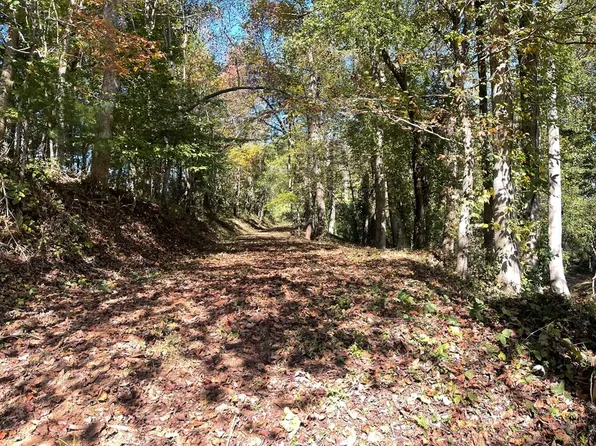 1.87 Ac Hwy #180-348, Blairsville, GA 30512
