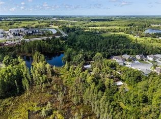 20007 Betel Palm Ln, Land O Lakes, FL 34638