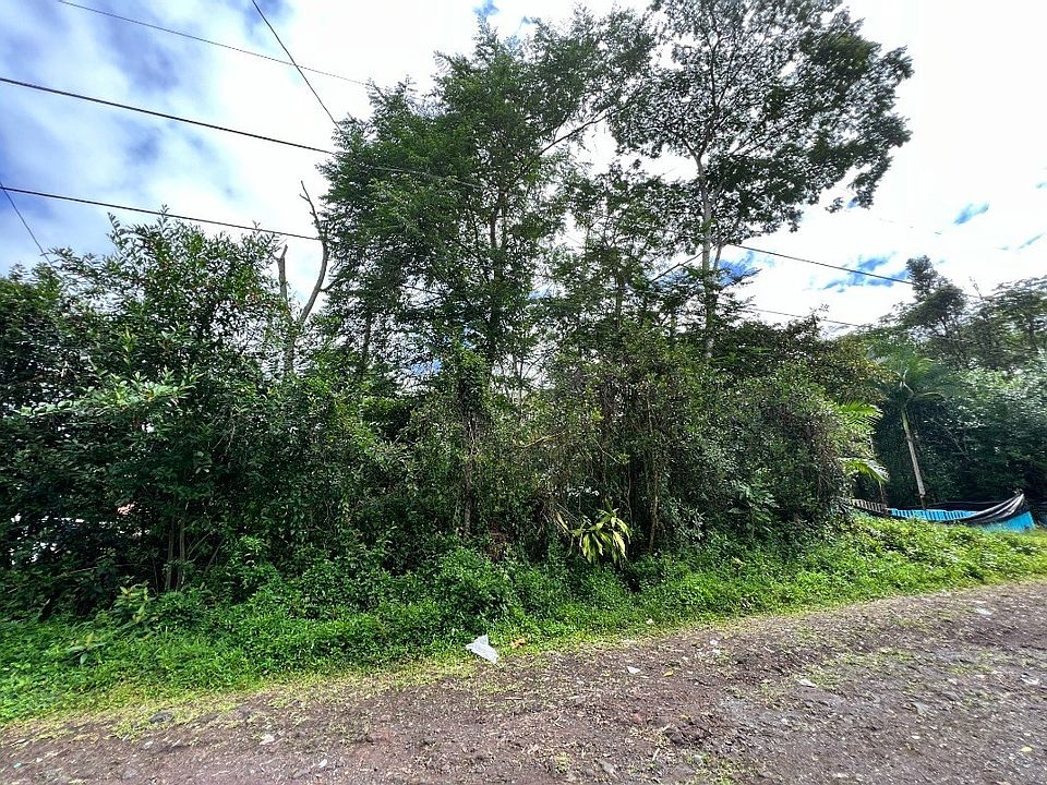2nd image of King Kamehameha Blvd Lot 39