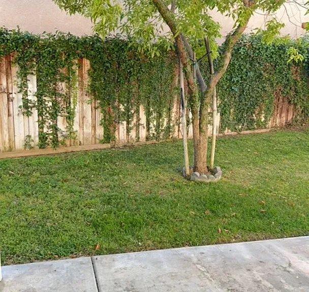 4732 Lakerun Ct — Photo 16