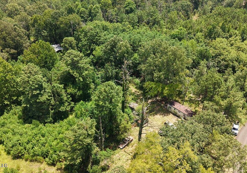 1st image of 258 Pine Tree Ln