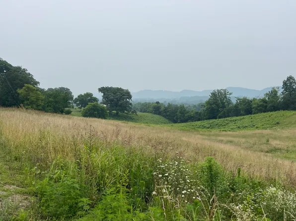 LOT 5 Pinto Ridge Dr, New Market, TN 37820