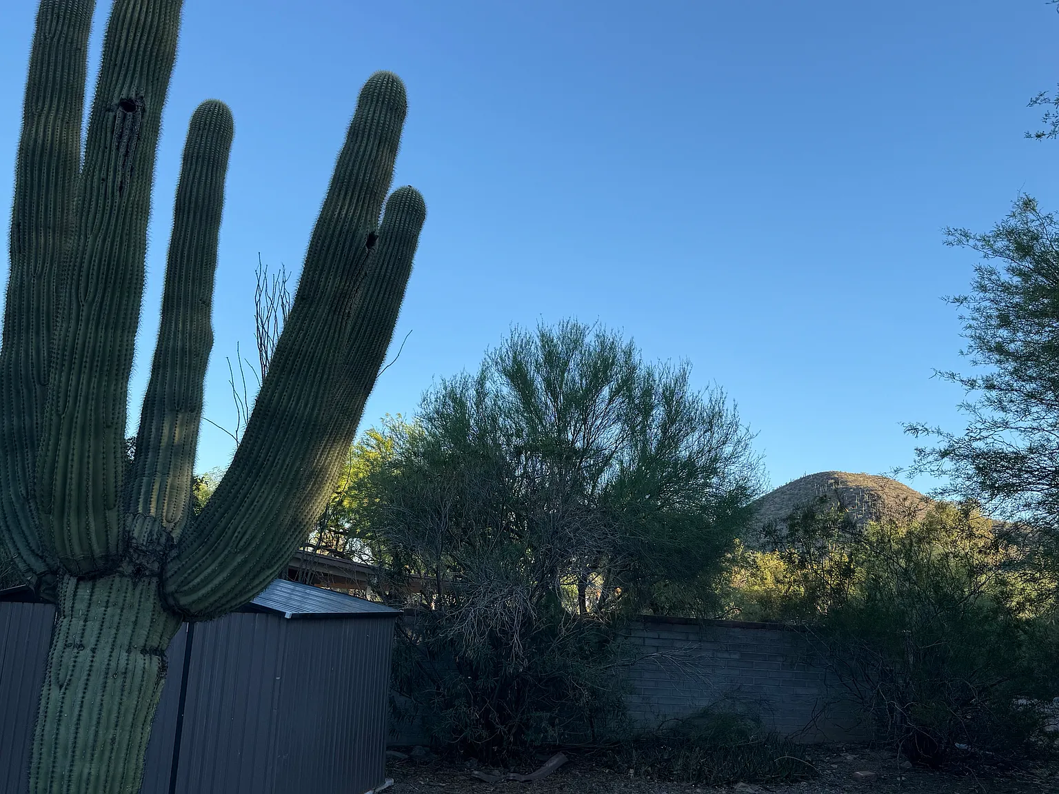 3 bed, 1571 sqft, $1,750 — Photo 3