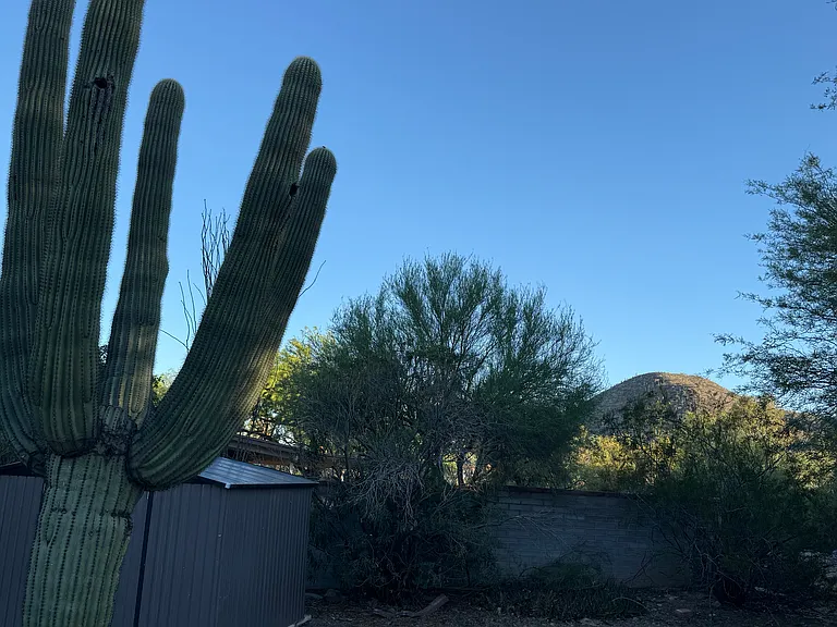 The location is close to a riparian wash and close access to hiking in nearby hills and saguaro east. Several saguaros and other desert landscape on the property. Approximately 1 mile from Pima West and Tumamoc, amd close to downtown.