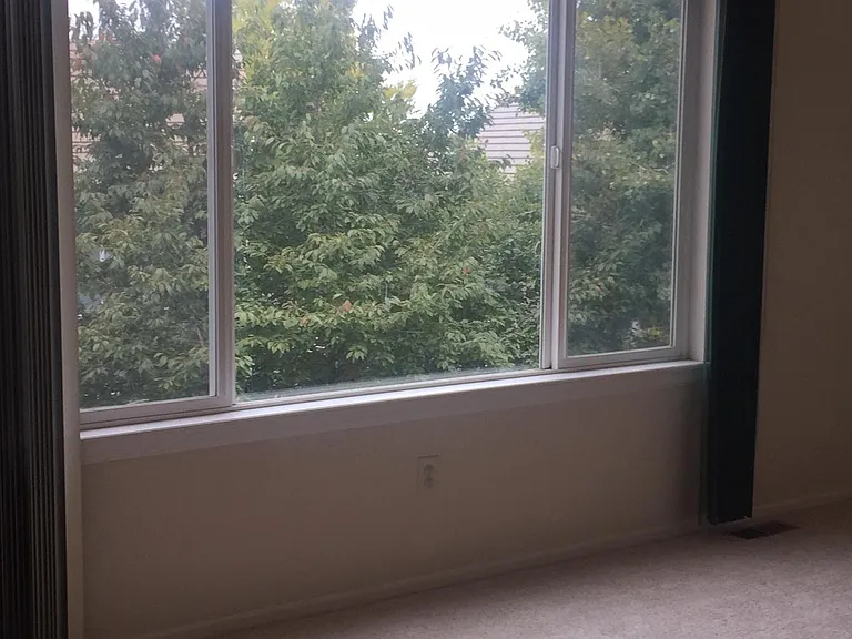 923 Grays Peak Dr — Photo 3