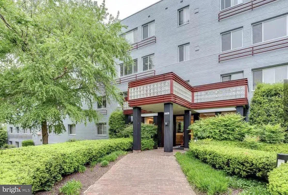 Studio, 1.0 bath, 490 sqft, $1,500 — Photo 1